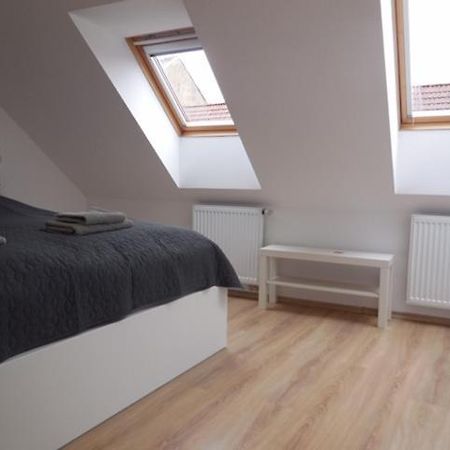 Apartman Kamenice Kamenice nad Lipou Zewnętrze zdjęcie