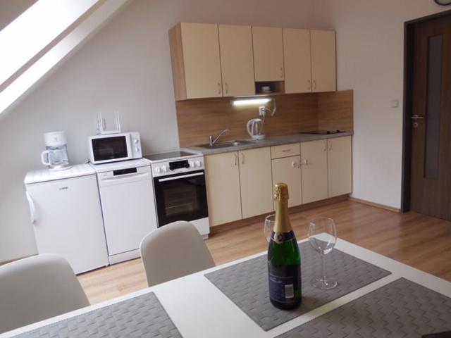 Apartman Kamenice Kamenice nad Lipou Zewnętrze zdjęcie