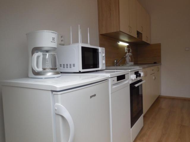 Apartman Kamenice Kamenice nad Lipou Zewnętrze zdjęcie